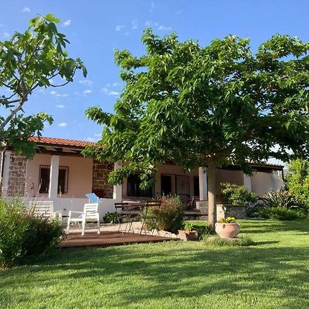 Countryside Villa In Sardinia Triei Екстериор снимка