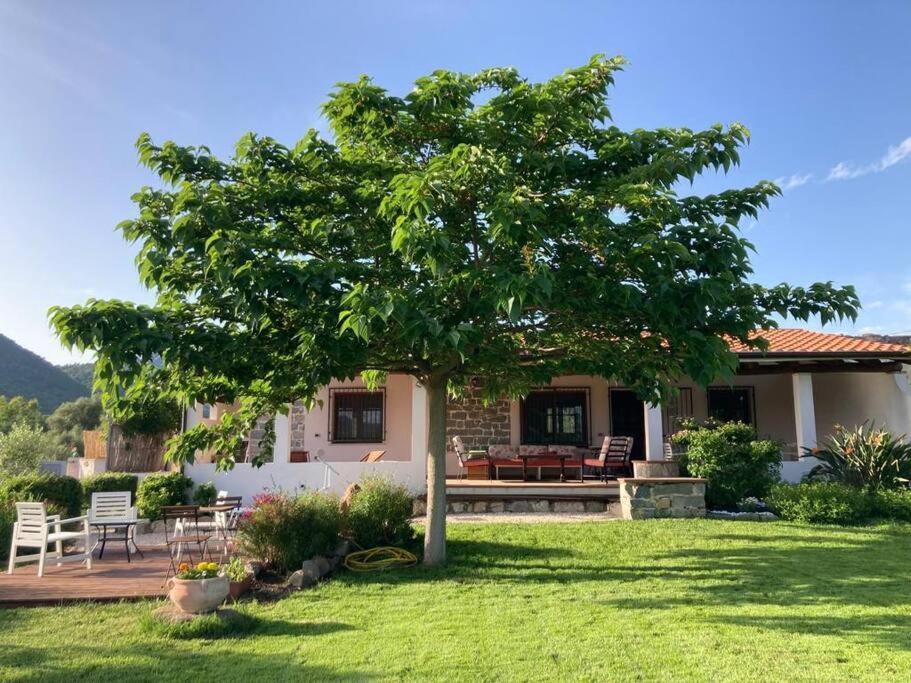 Countryside Villa In Sardinia Triei Екстериор снимка