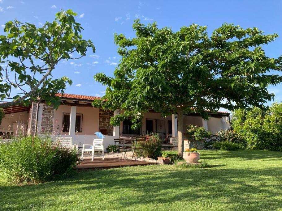 Countryside Villa In Sardinia Triei Екстериор снимка