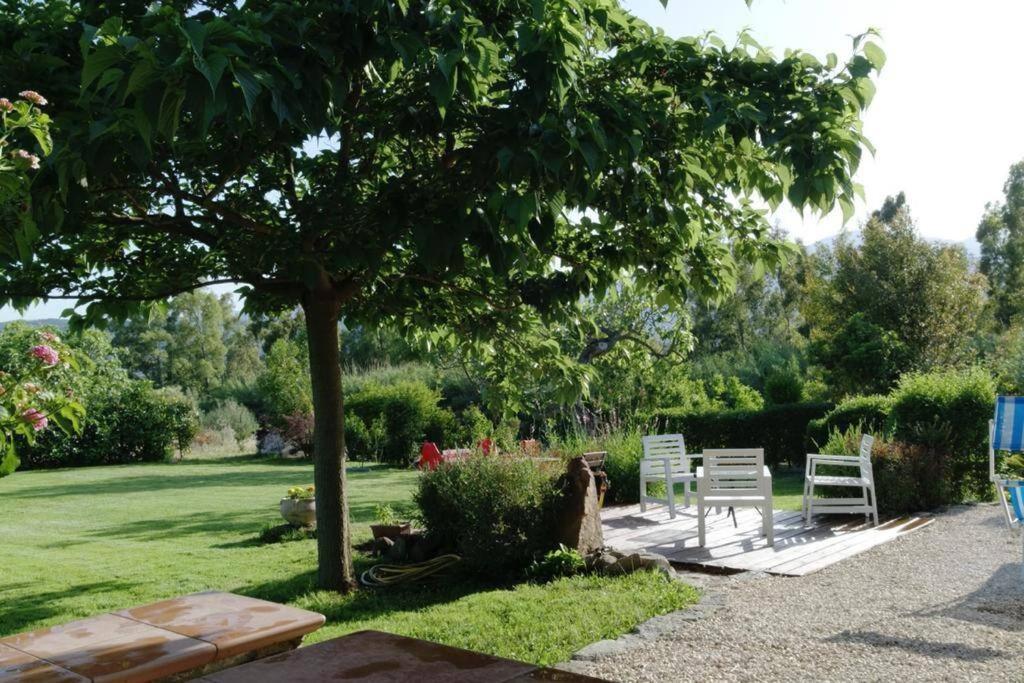 Countryside Villa In Sardinia Triei Екстериор снимка